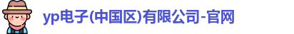 yp电子
